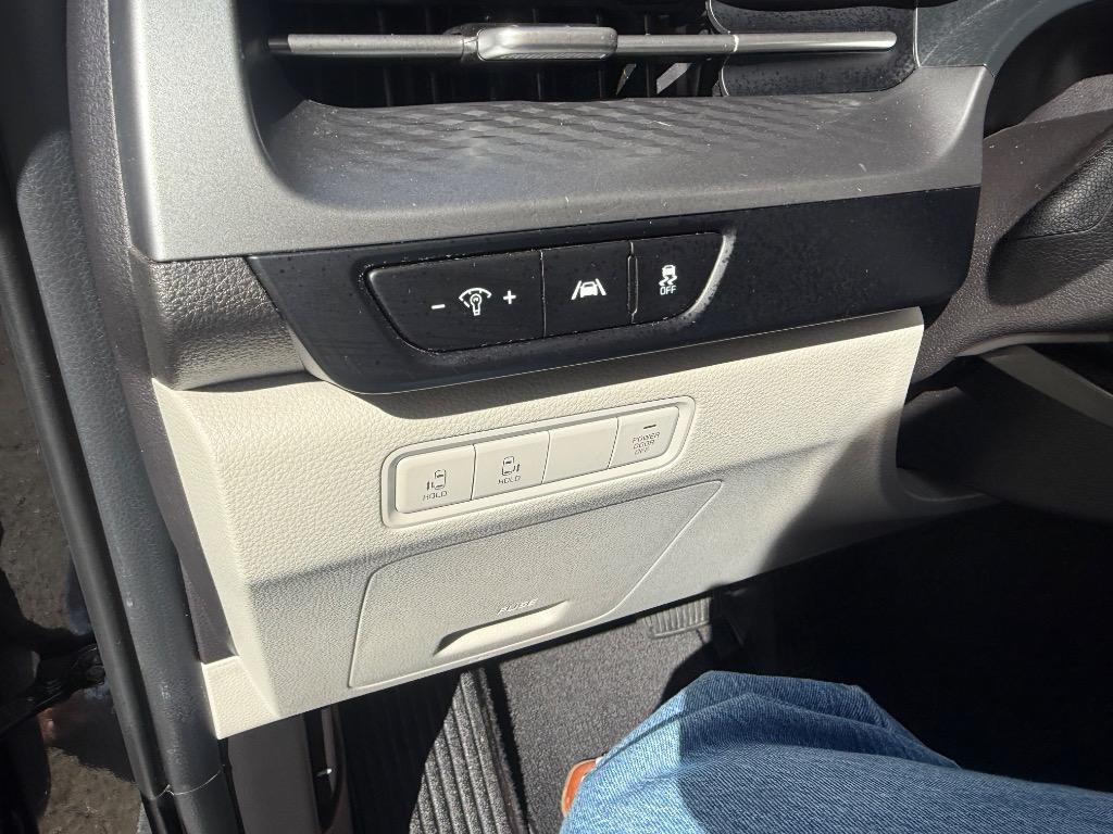 Kia Carnival photo 11